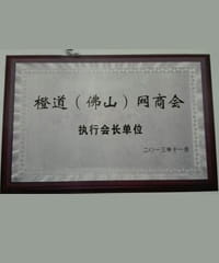 橙道（佛山(shān)）網商(shāng)會 執行會長(cháng)單位